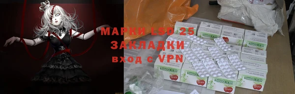 крисы Вязники