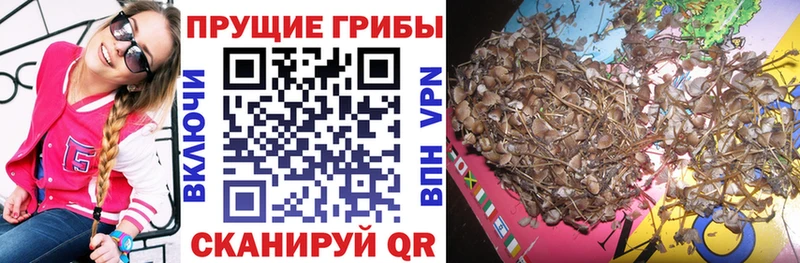 Галлюциногенные грибы прущие грибы  Мценск 